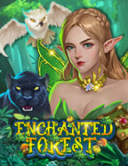 กลุ่มเป้าหมายการพนัน: วิธีเล่นแบบมือโปร